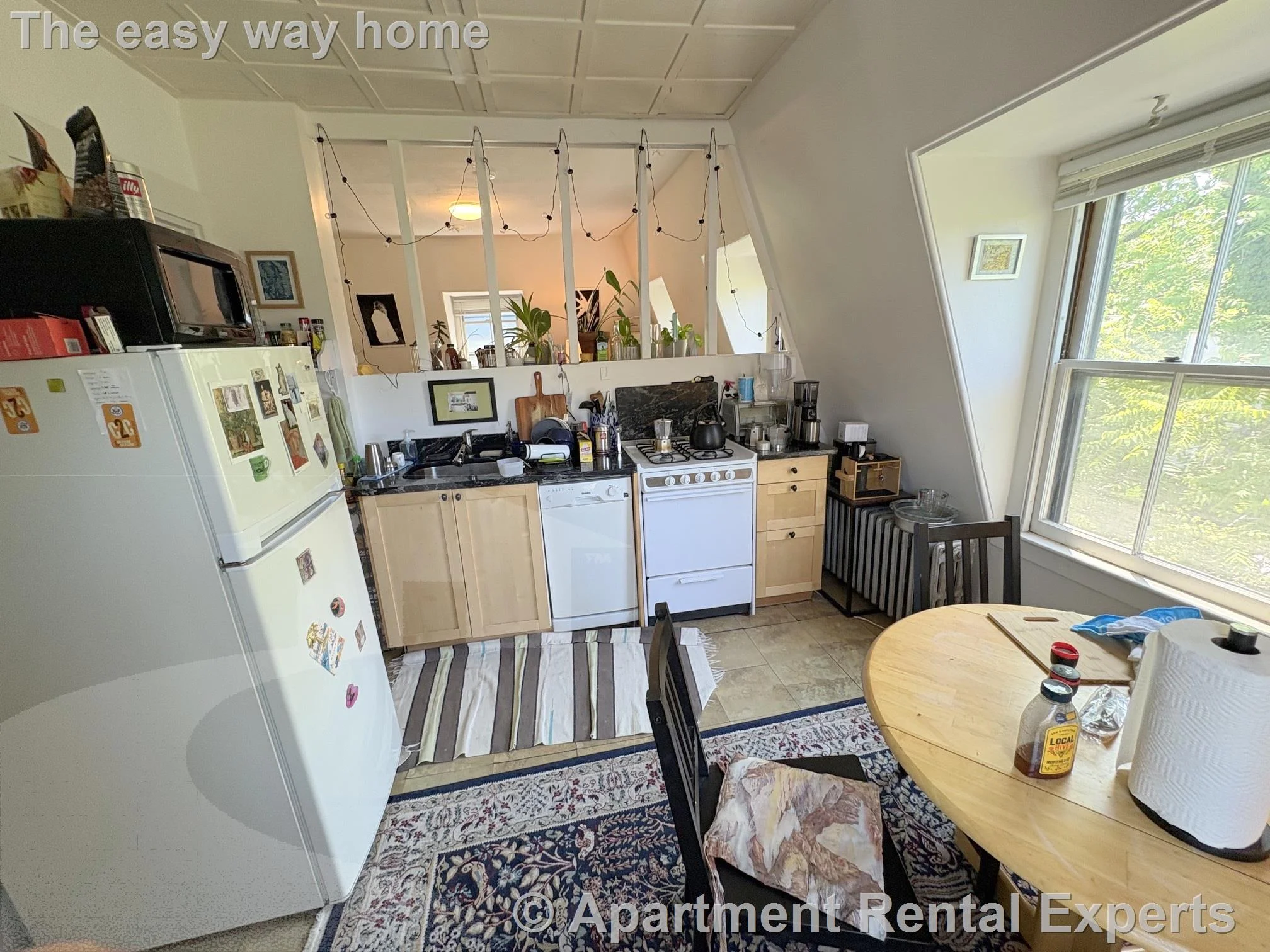 2 bed, 1 bath apartment for rent at 339 Broadway Unit 3, Mid Cambridge — photo 3 of 10