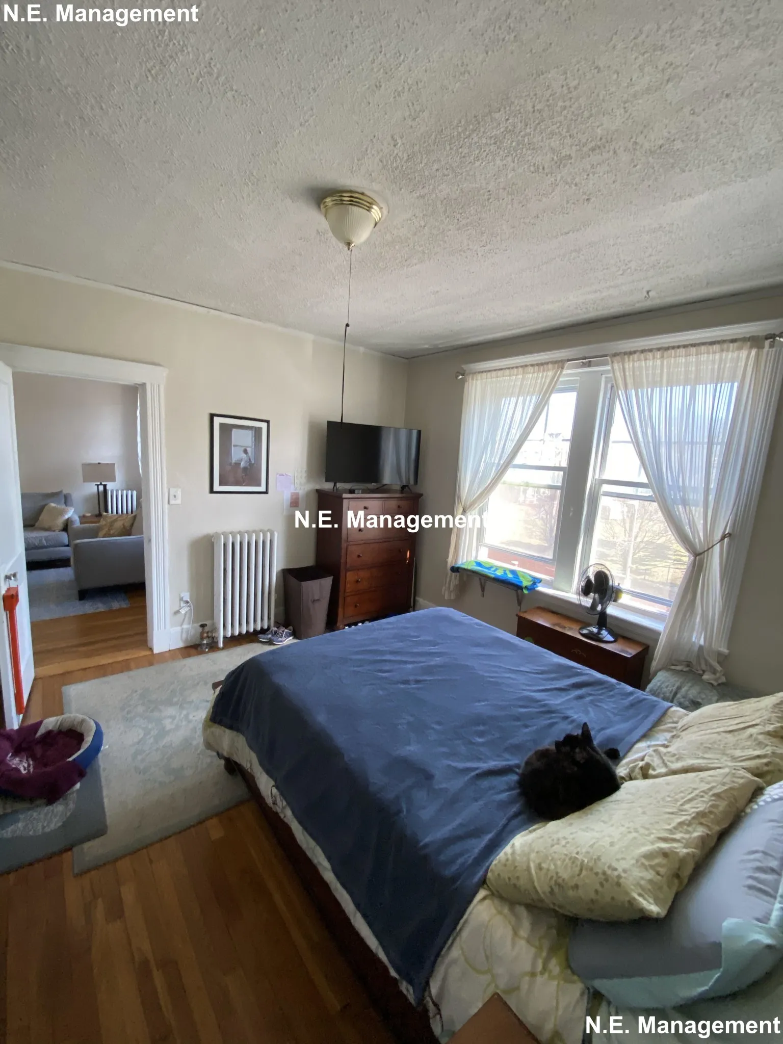 2 bed, 1 bath apartment for rent at 339 S Huntington Ave Unit 10, Jamaica Plain — photo 6 of 12