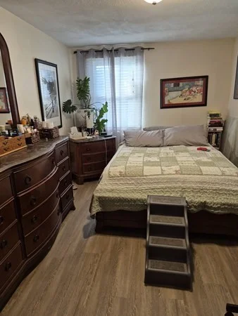 2 bed, 1 bath apartment for rent at 33A Jackson St Unit 203, Lynn — photo 3 of 7
