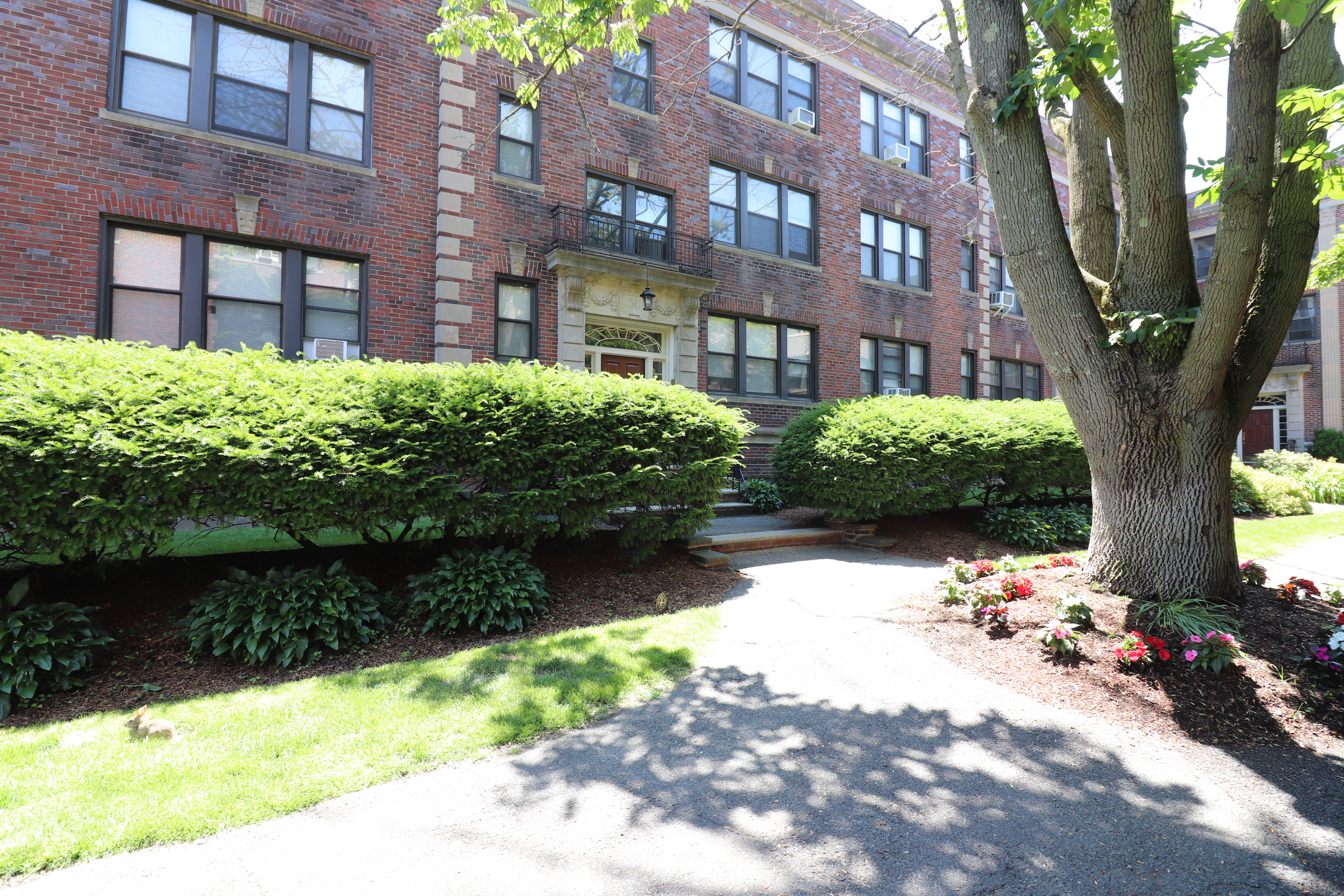 2 bed, 1 bath apartment for rent at 34A Park St Unit B8, Griggs Park — photo 14 of 15