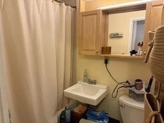 2 bed, 2 bath apartment for rent at 34 Babcock St Unit 201, Coolidge Corner — photo 12 of 16