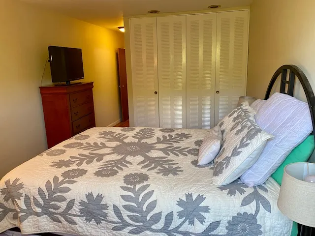 2 bed, 2 bath apartment for rent at 34 Babcock St Unit 204, Coolidge Corner — photo 10 of 15