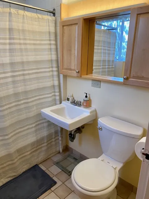 2 bed, 2 bath apartment for rent at 34 Babcock St Unit 204, Coolidge Corner — photo 12 of 15