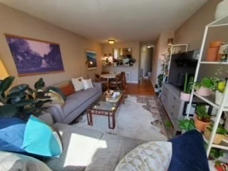 2 bed, 2 bath apartment for rent at 34 Babcock St Unit 403, Coolidge Corner — photo 3 of 12