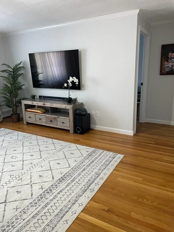 2 bed, 1 bath apartment for rent at 34 Bryon Rd Unit 3, Chestnut Hill — photo 4 of 13