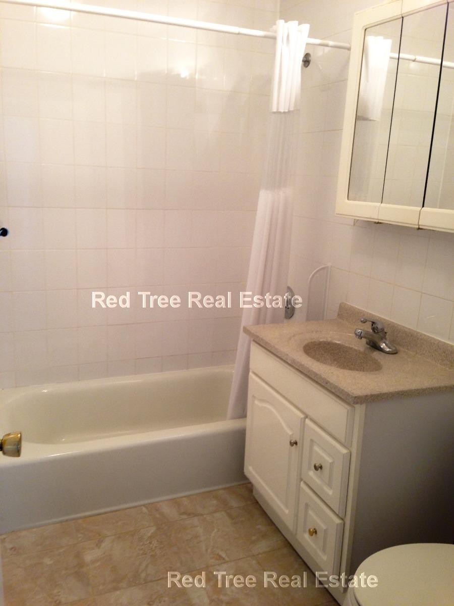 1 bed, 1 bath apartment for rent at 34 Gardner St Unit 45, Allston — photo 5 of 6