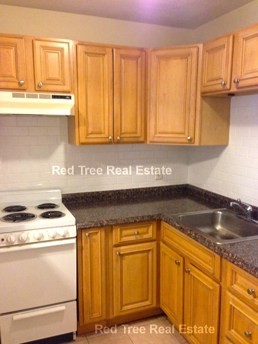 1 bed, 1 bath apartment for rent at 34 Gardner St Unit 45, Allston — photo 4 of 6