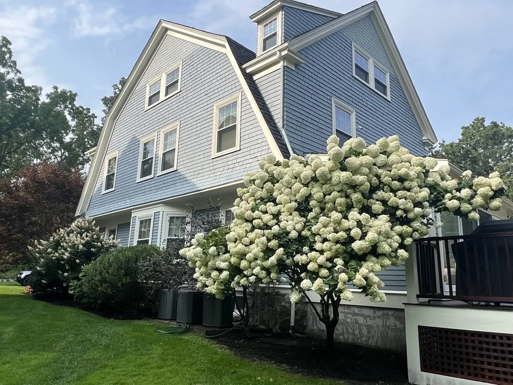 7 bed, 3 bath apartment for rent at 34 Glen Rd, Winchester — photo 1 of 40