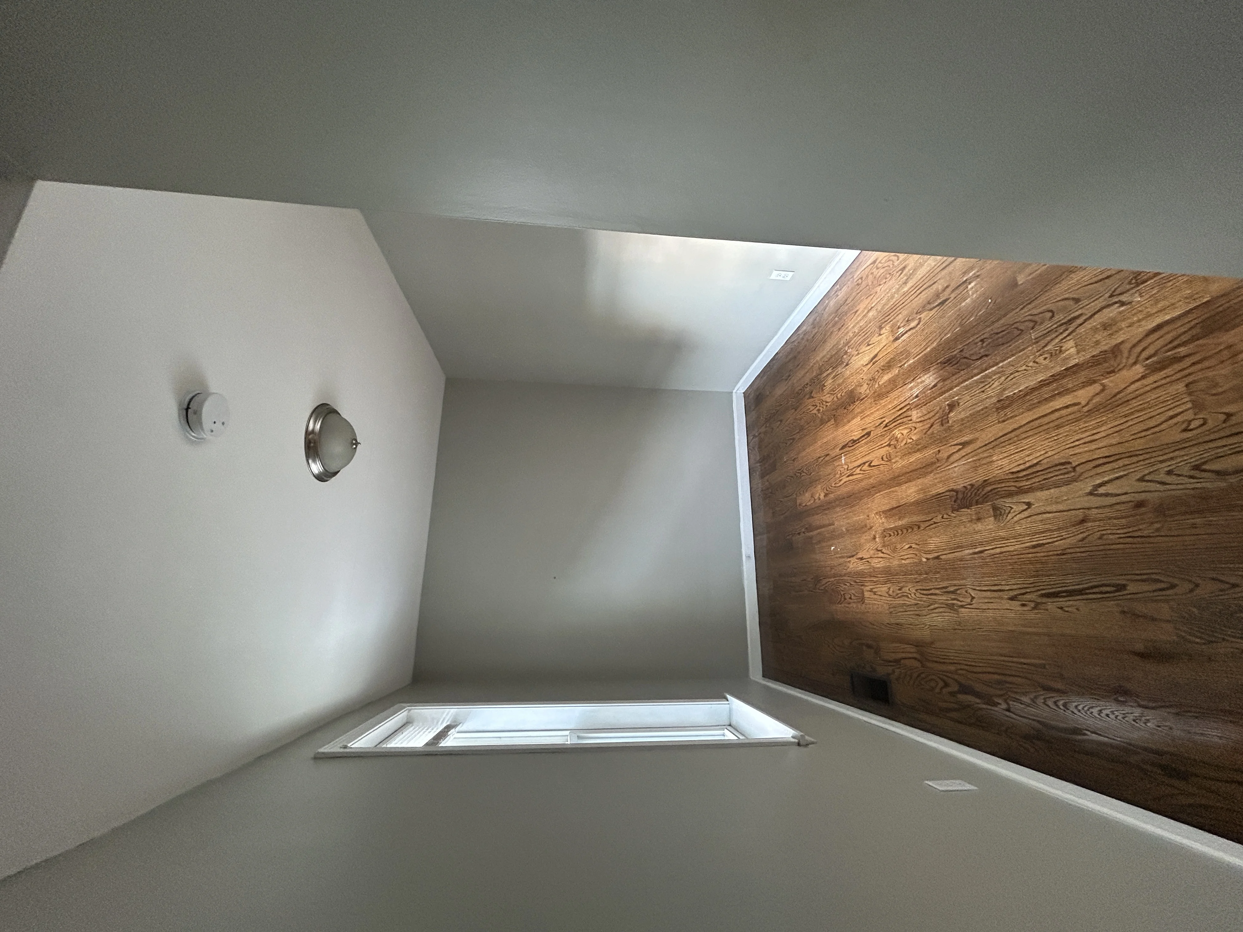 1 bed, 1 bath apartment for rent at 34 L St Unit 1, South Boston — photo 5 of 8