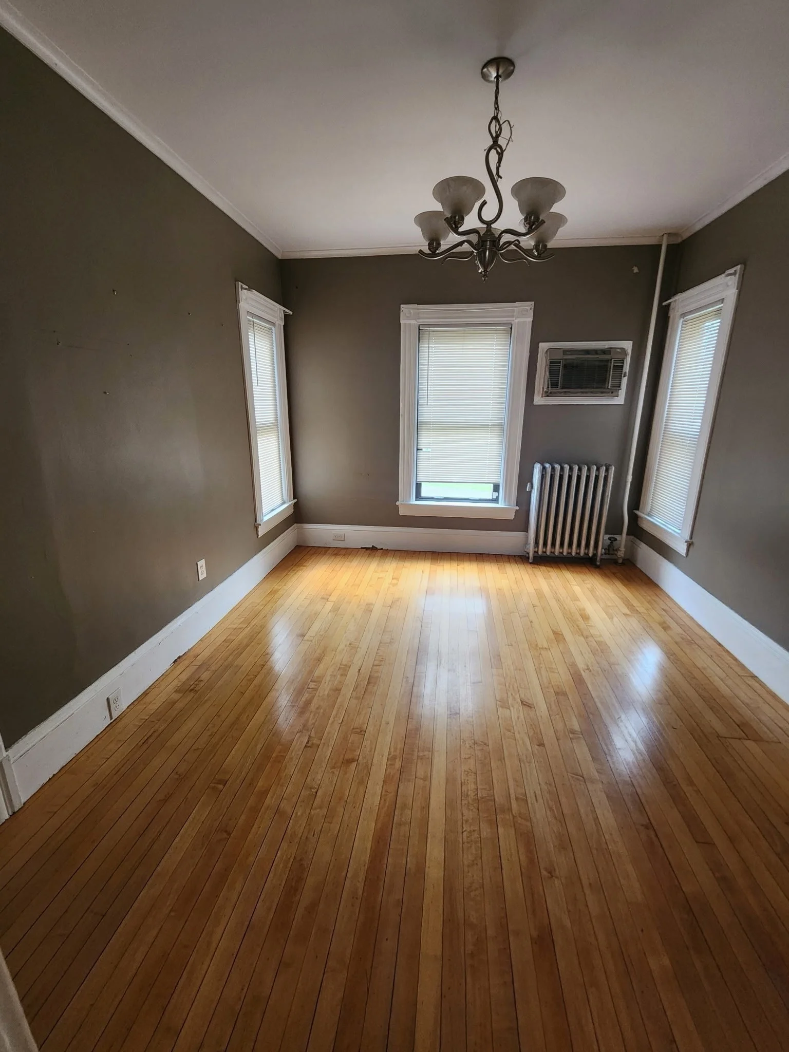 2 bed, 1 bath apartment for rent at 34 Laurel St Unit 1, Elmwood — photo 6 of 20