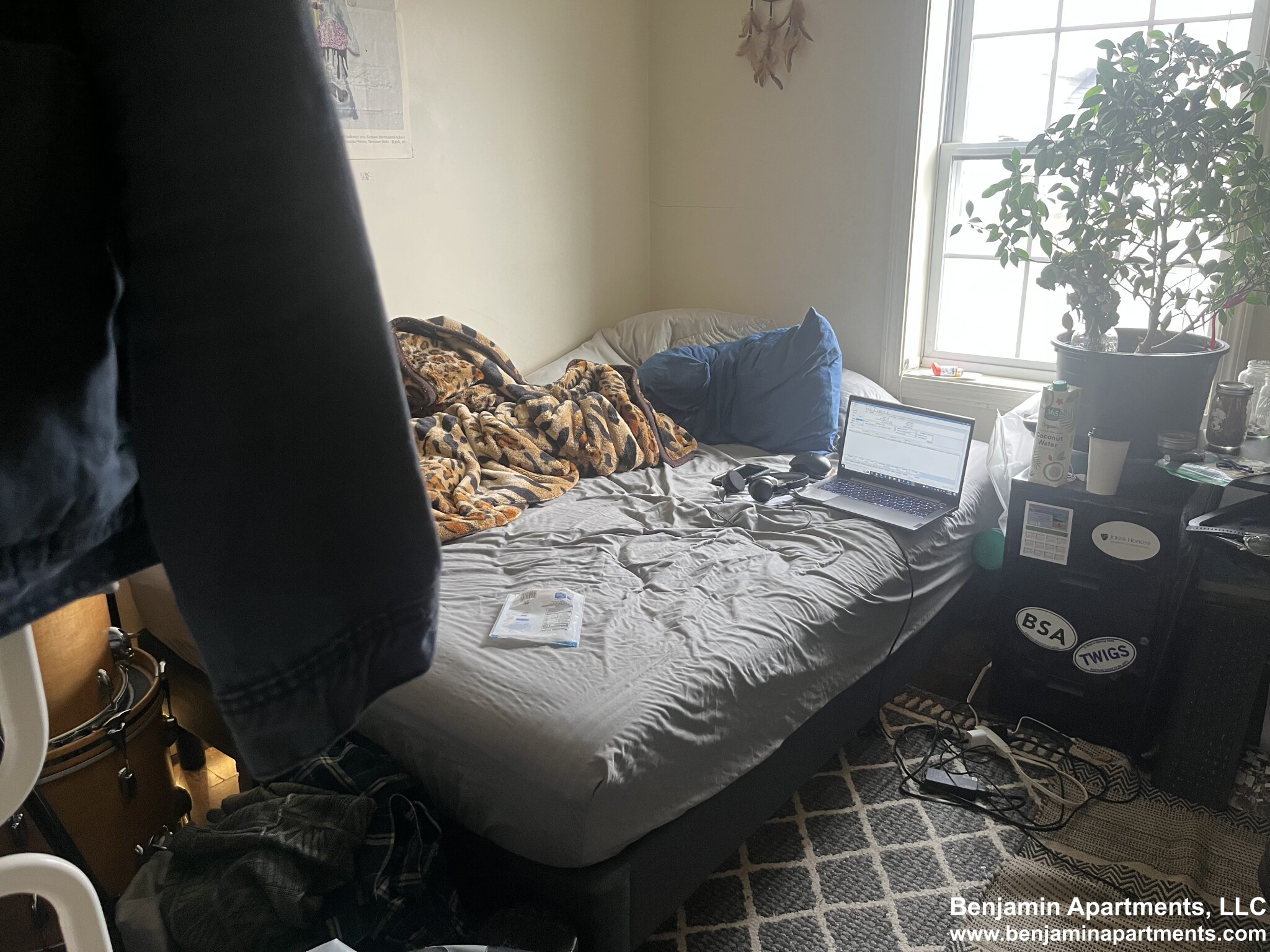 5 bed, 2.5 bath apartment for rent at 34 Raymond St Unit 34B, Lower Allston — photo 29 of 41