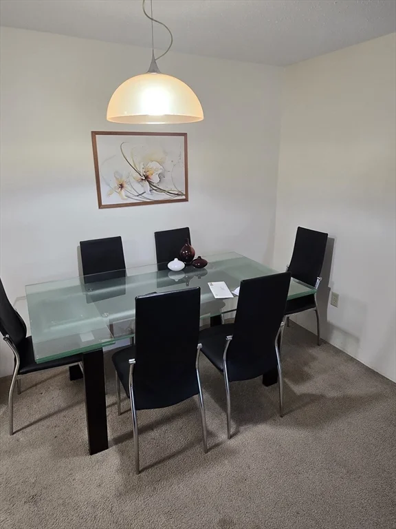 1 bed, 1 bath apartment for rent at 34 Silver Hill Unit 7, Natick — photo 6 of 13
