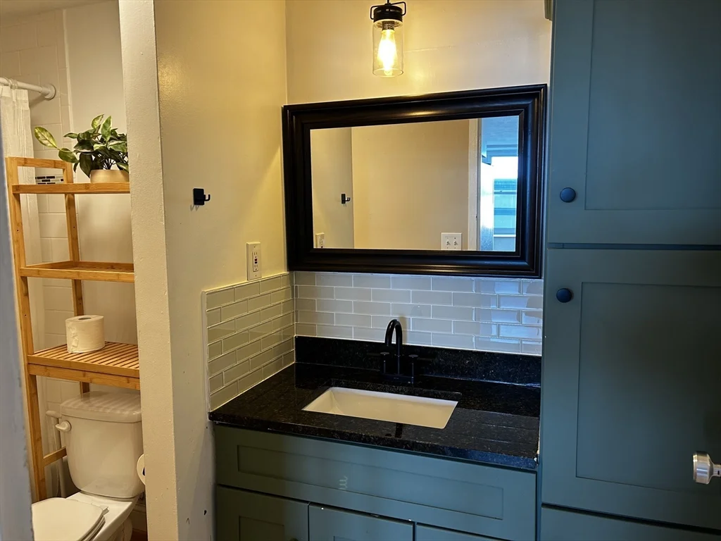 Studio bed, 1 bath apartment for rent at 340 Main St Unit 204, Melrose — photo 9 of 11