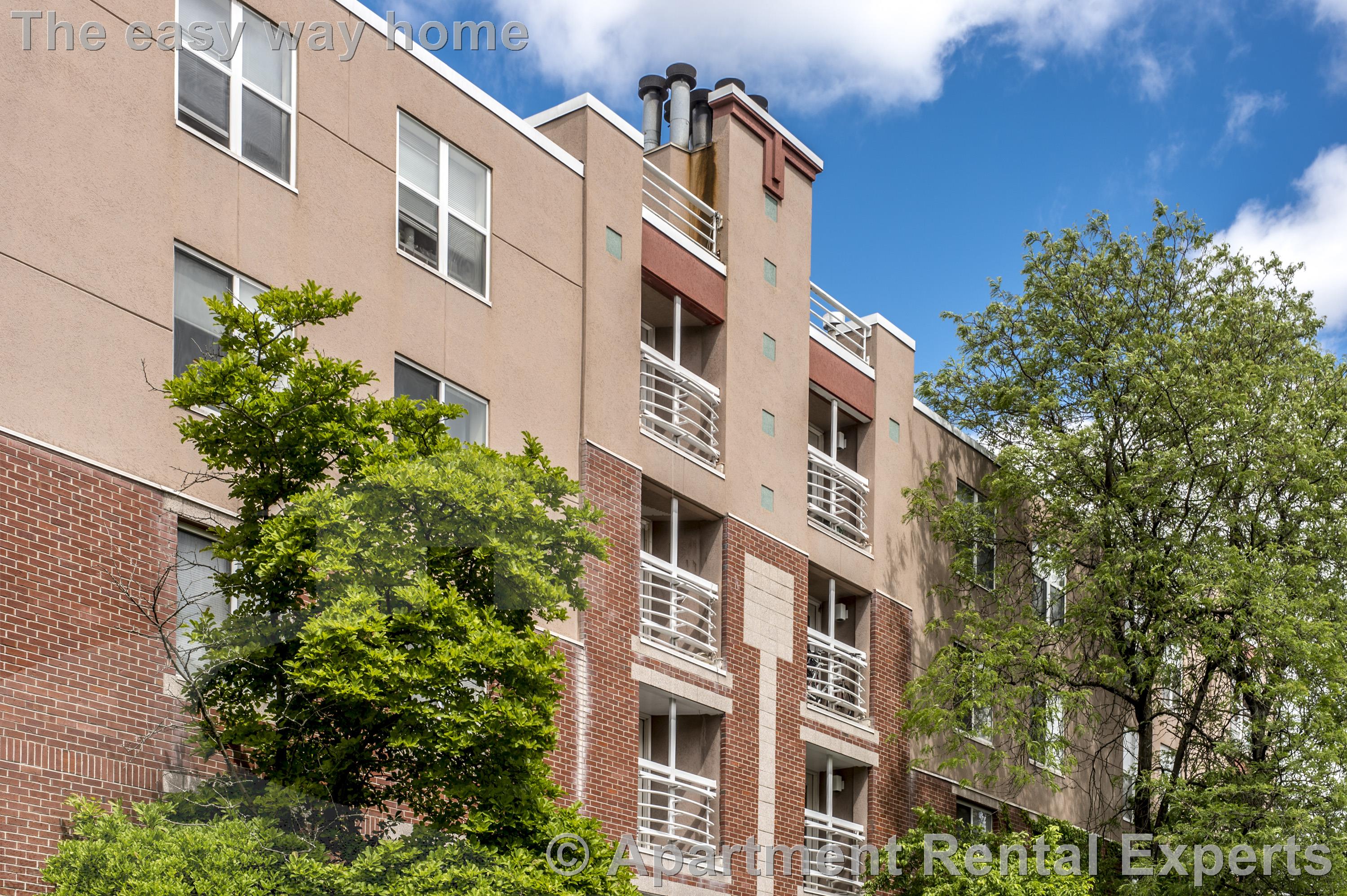 1 bed, 1 bath apartment for rent at 345 Franklin St Unit 103, Central Square — photo 17 of 17