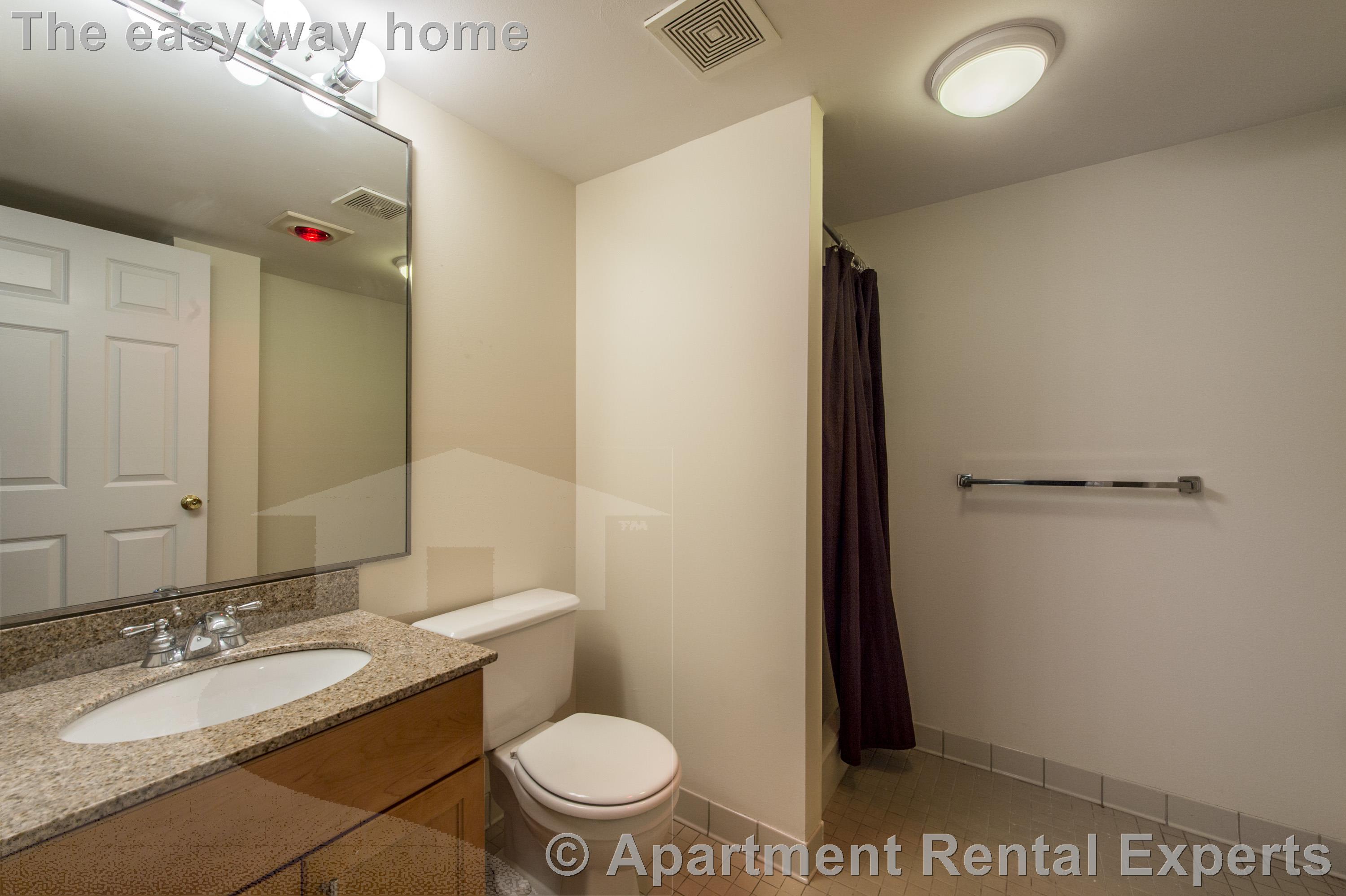 1 bed, 1 bath apartment for rent at 345 Franklin St Unit 103, Central Square — photo 12 of 17