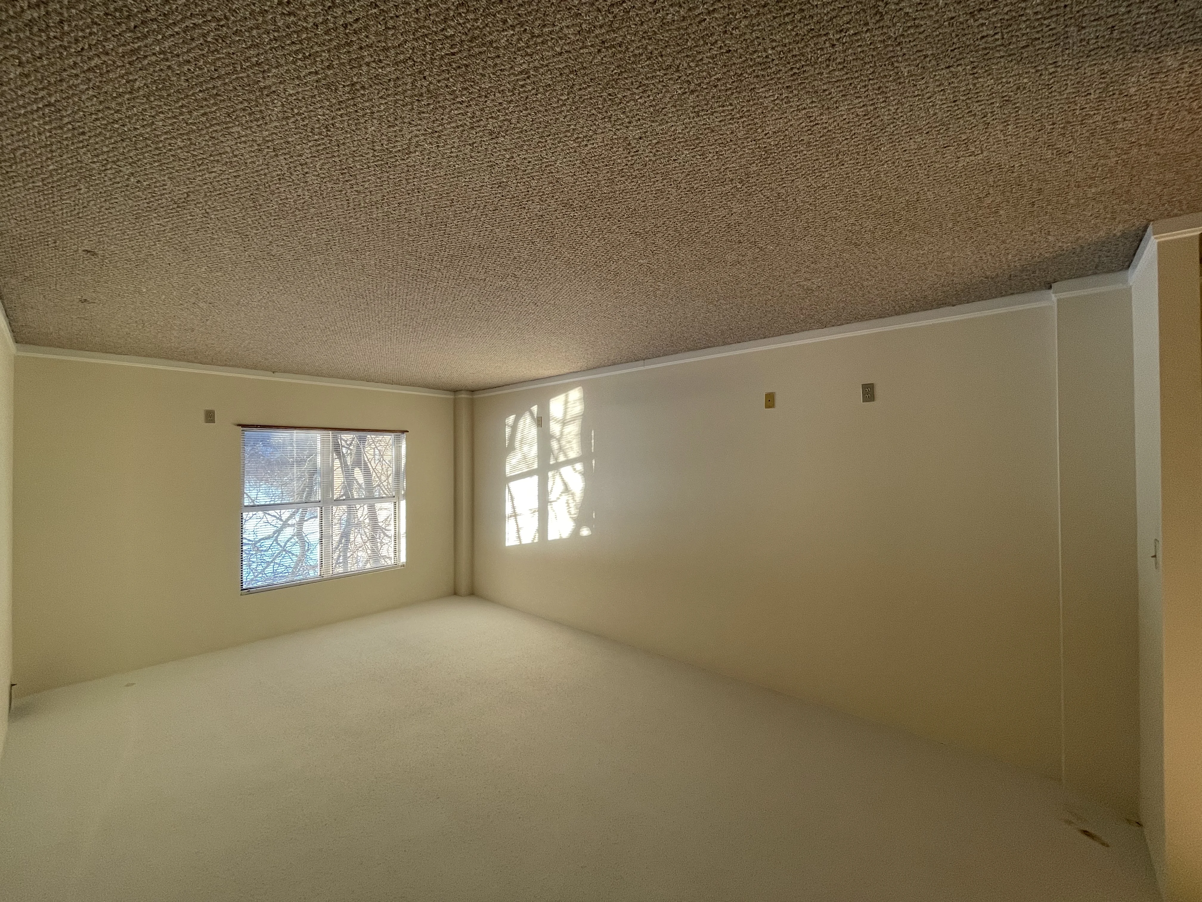 2 bed, 2 bath apartment for rent at 345 Franklin St Unit 202, Central Square — photo 10 of 11