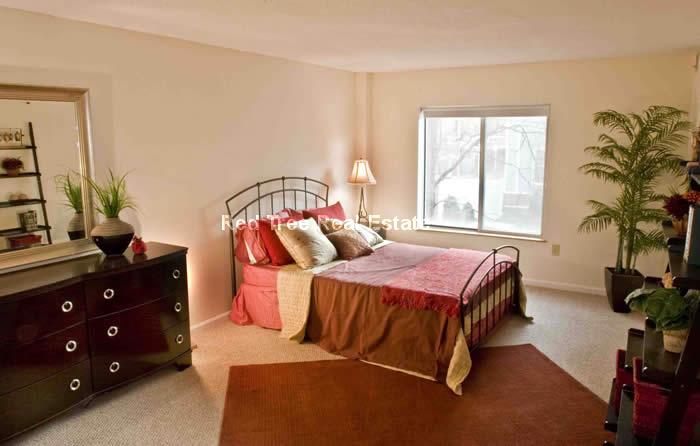 2 bed, 2 bath apartment for rent at 345 Franklin St Unit 208, Riverside — photo 2 of 10