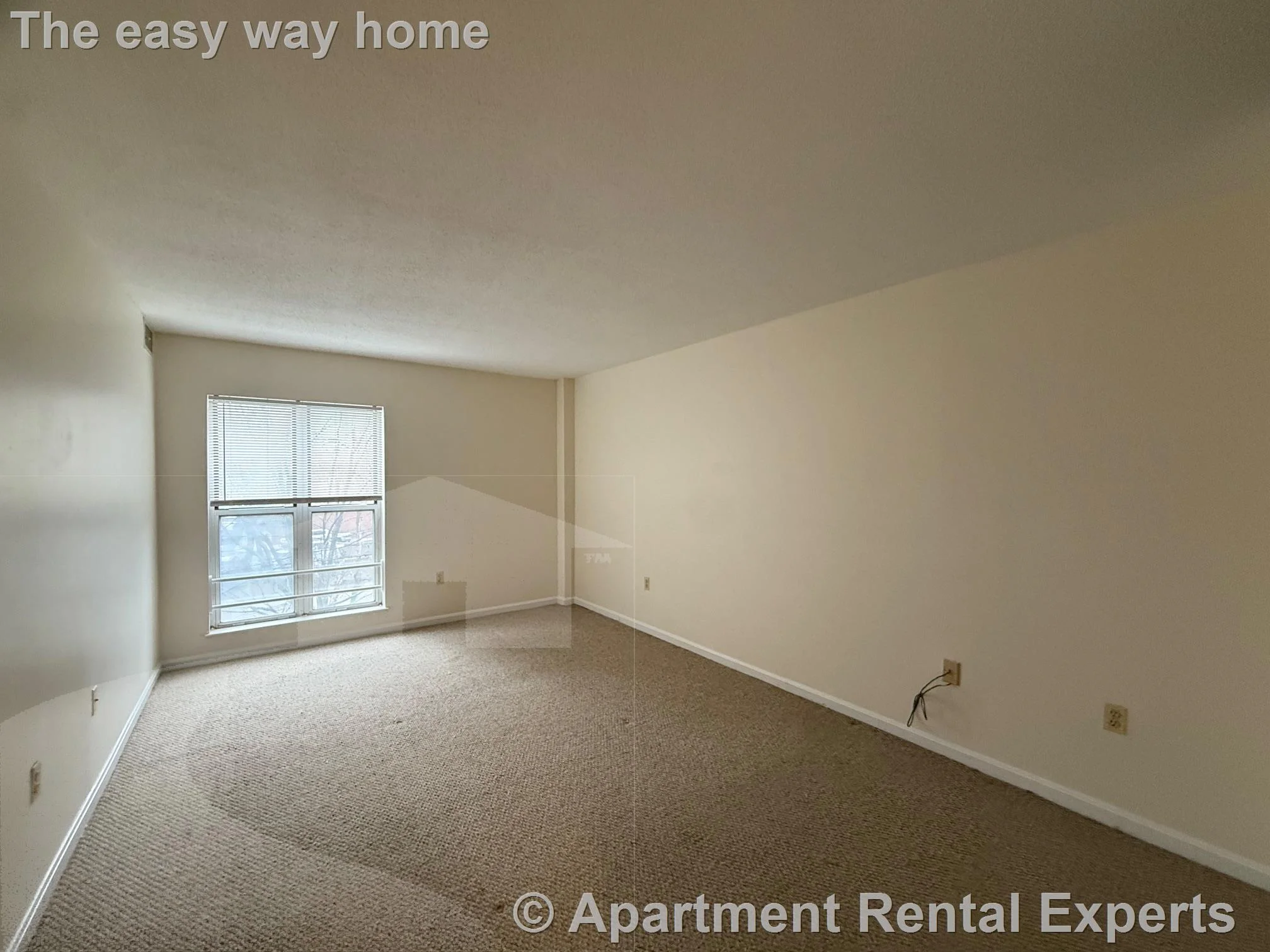 2 bed, 2 bath apartment for rent at 345 Franklin St Unit 308, Central Square — photo 9 of 11
