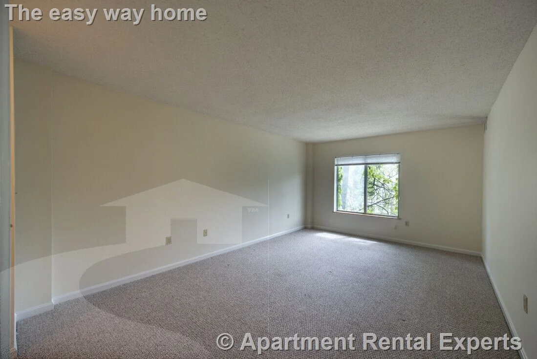2 bed, 2 bath apartment for rent at 345 Franklin St Unit 402, Central Square — photo 4 of 6