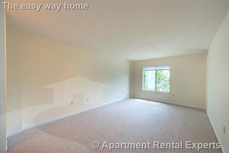 2 bed, 2 bath apartment for rent at 345 Franklin St Unit 406, Central Square — photo 11 of 13