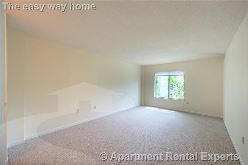 2 bed, 2 bath apartment for rent at 345 Franklin St Unit 406, Central Square — photo 11 of 13