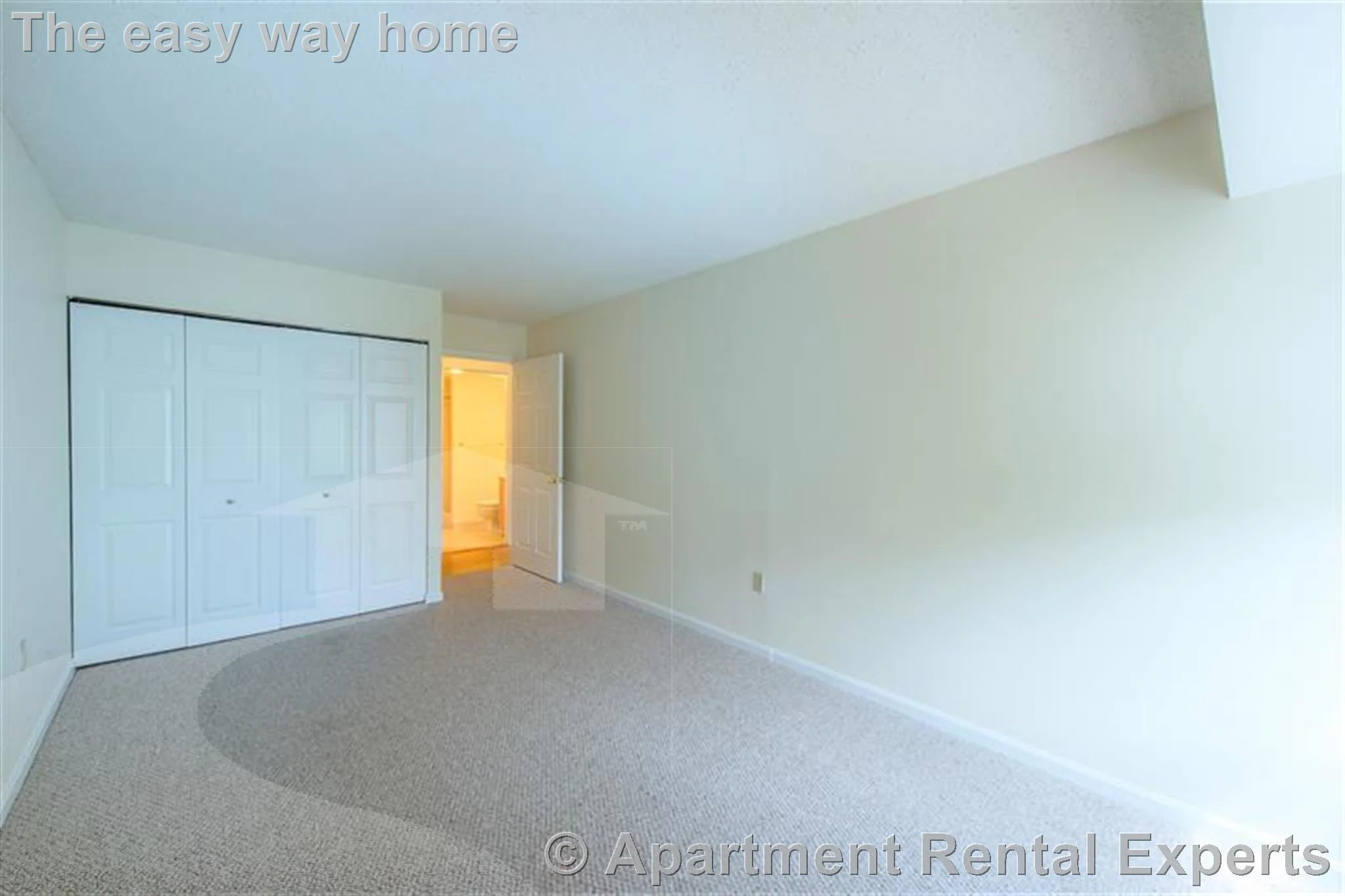 2 bed, 2 bath apartment for rent at 345 Franklin St Unit 408, Central Square — photo 3 of 11