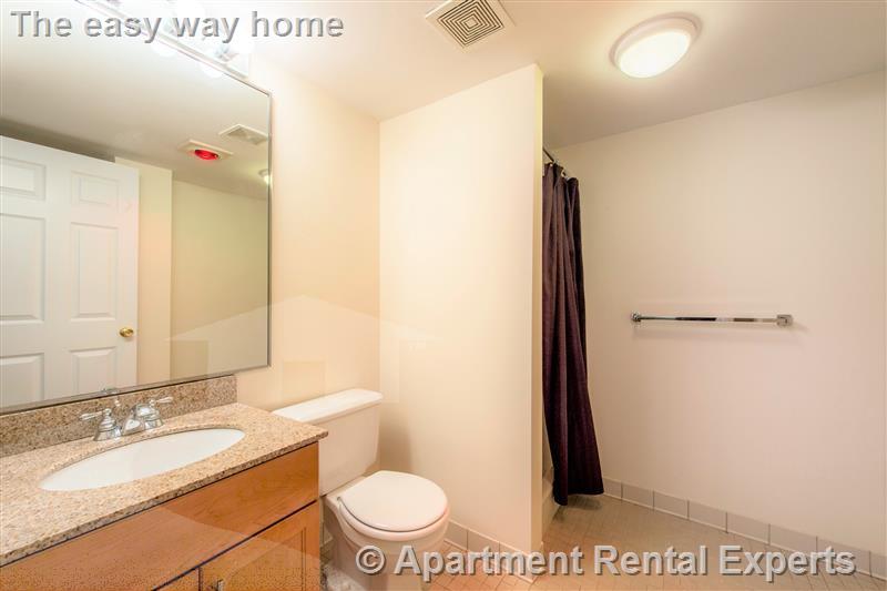 2 bed, 2 bath apartment for rent at 345 Franklin St Unit 501, Central Square — photo 3 of 10