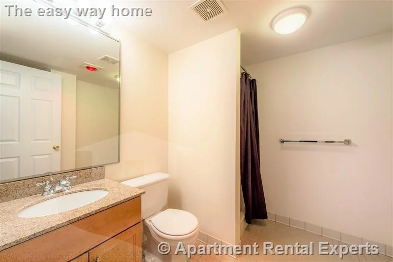 2 bed, 2 bath apartment for rent at 345 Franklin St Unit 501, Central Square — photo 3 of 10