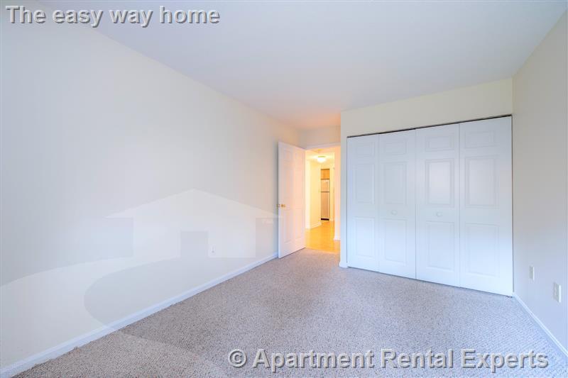 2 bed, 2 bath apartment for rent at 345 Franklin St Unit 501, Central Square — photo 4 of 10