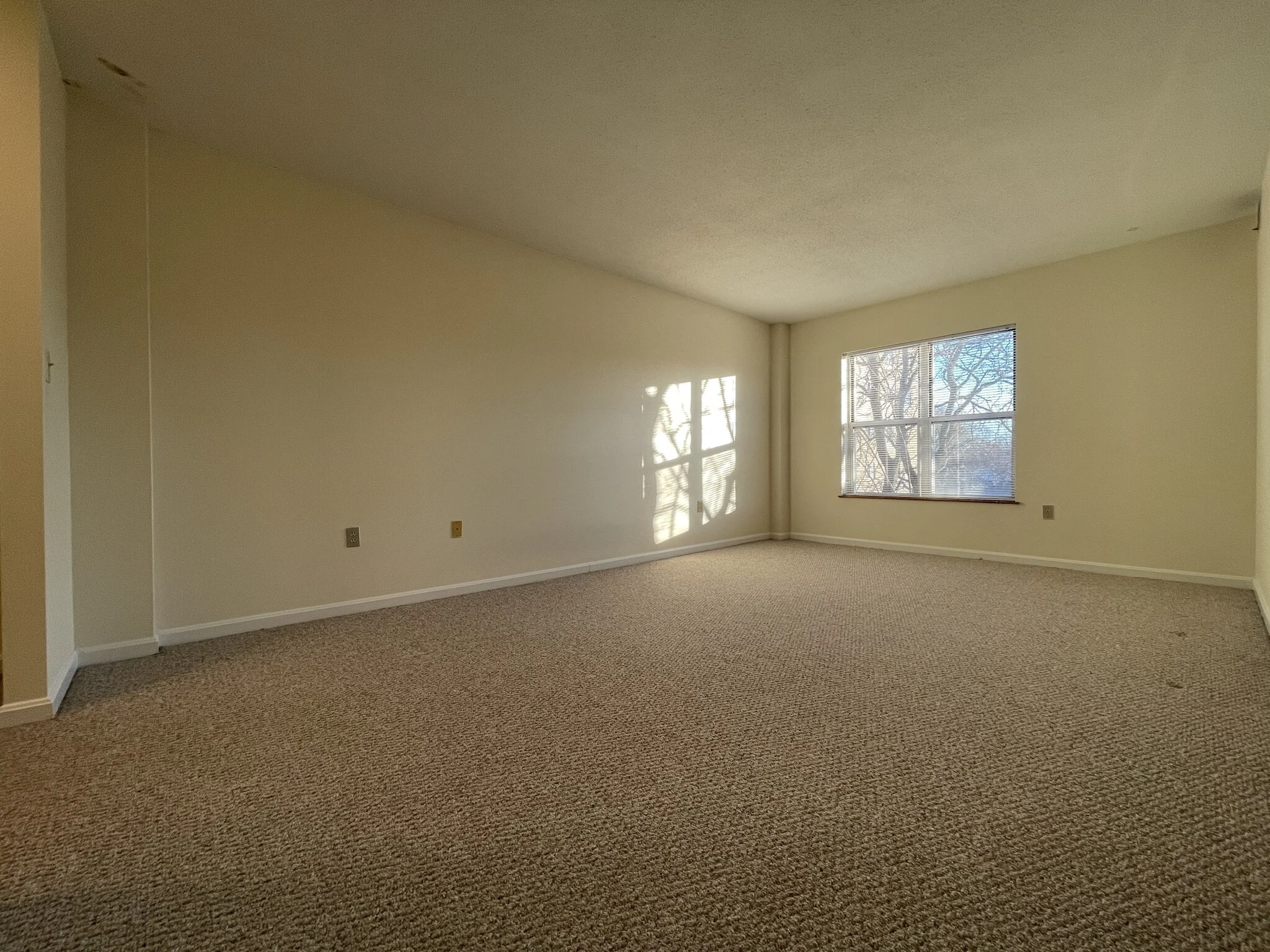 2 bed, 2 bath apartment for rent at 345 Franklin St Unit 503, Riverside — photo 8 of 19