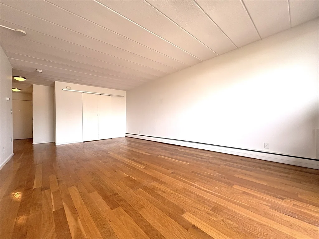 2 bed, 1 bath apartment for rent at 345 Harvard St Unit 4E, Mid-Cambridge — photo 5 of 28