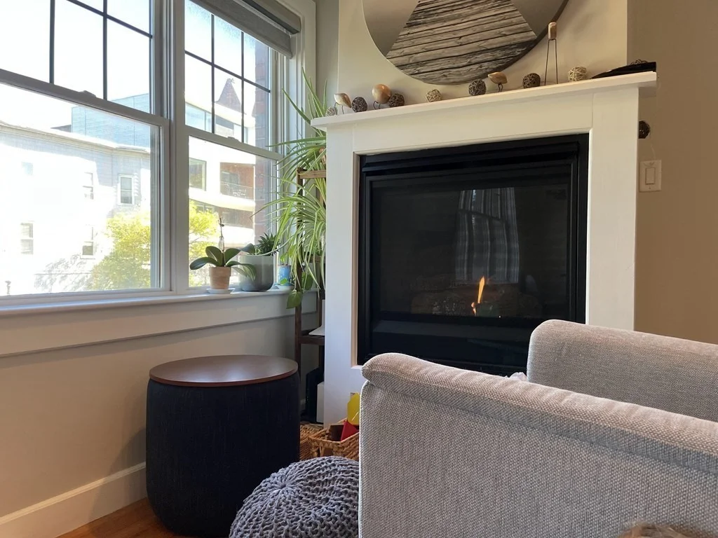2 bed, 2 bath apartment for rent at 345 W Broadway St Unit 1, Boston — photo 4 of 13