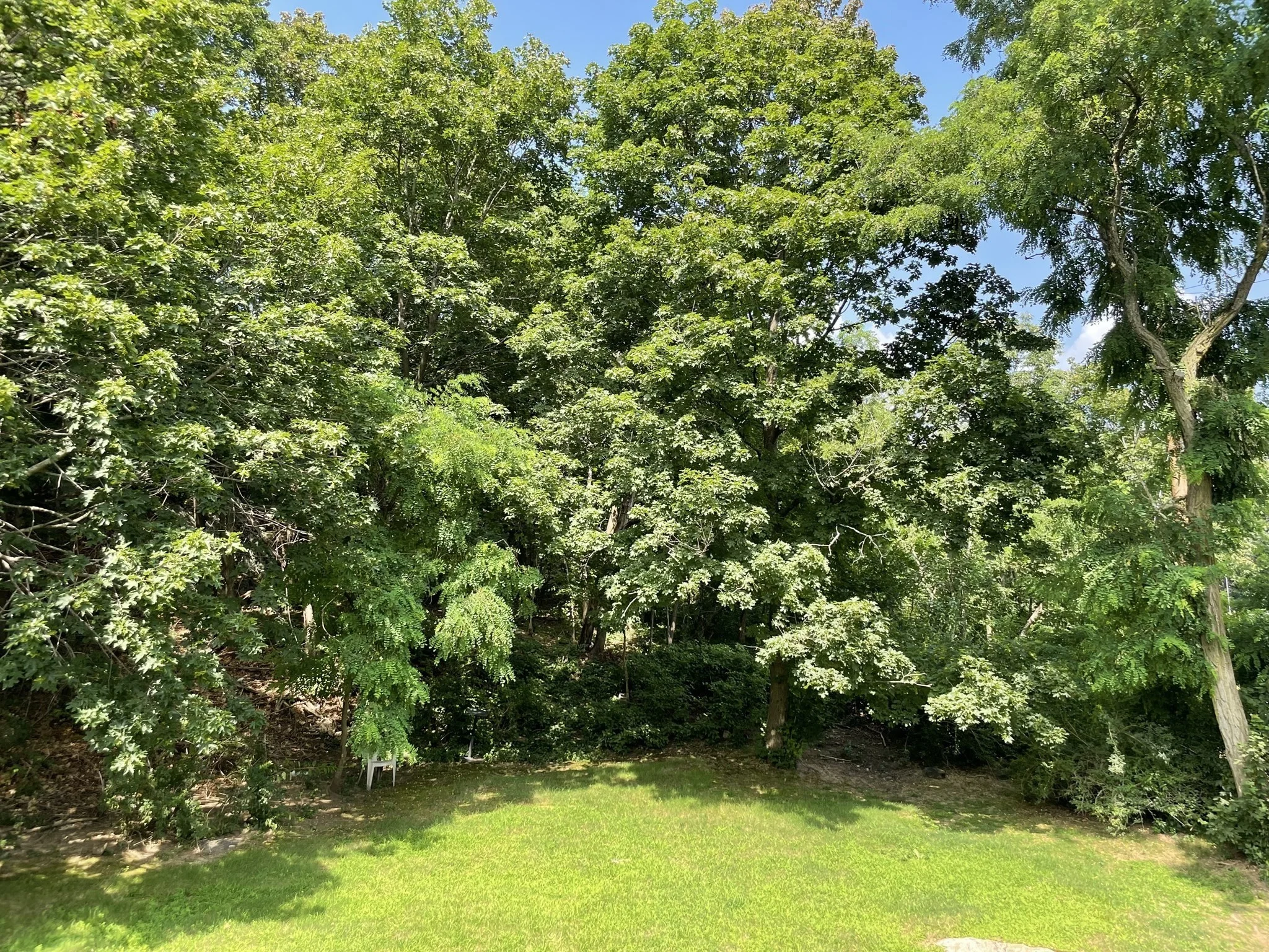 2 bed, 1 bath apartment for rent at 347 Main St Unit 2, Saugus — photo 18 of 18