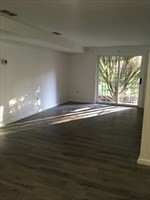 2 bed, 1 bath apartment for rent at 348 Neponset Unit B, Canton — photo 3 of 10