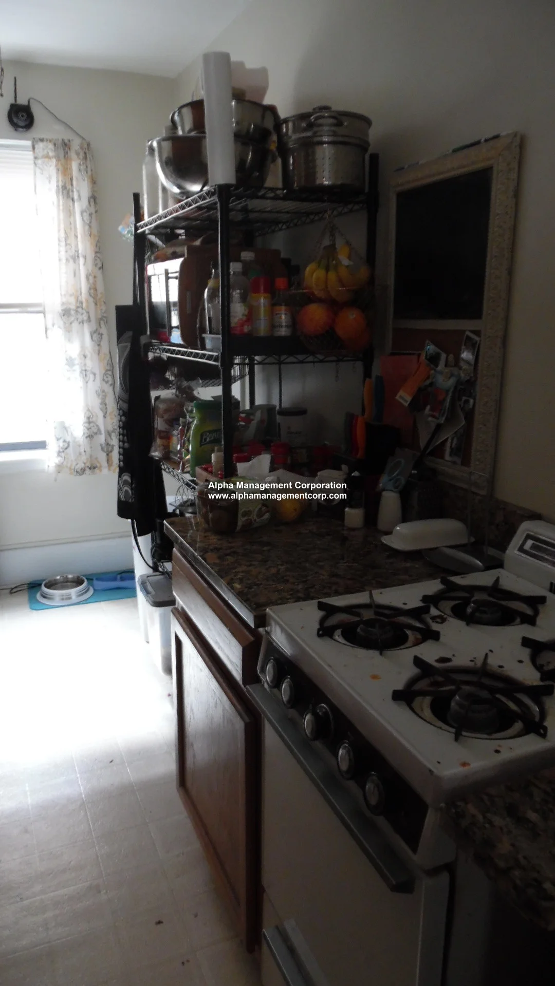 1 bed, 1 bath apartment for rent at 349 Pleasant St Unit A3-6, Malden — photo 12 of 19