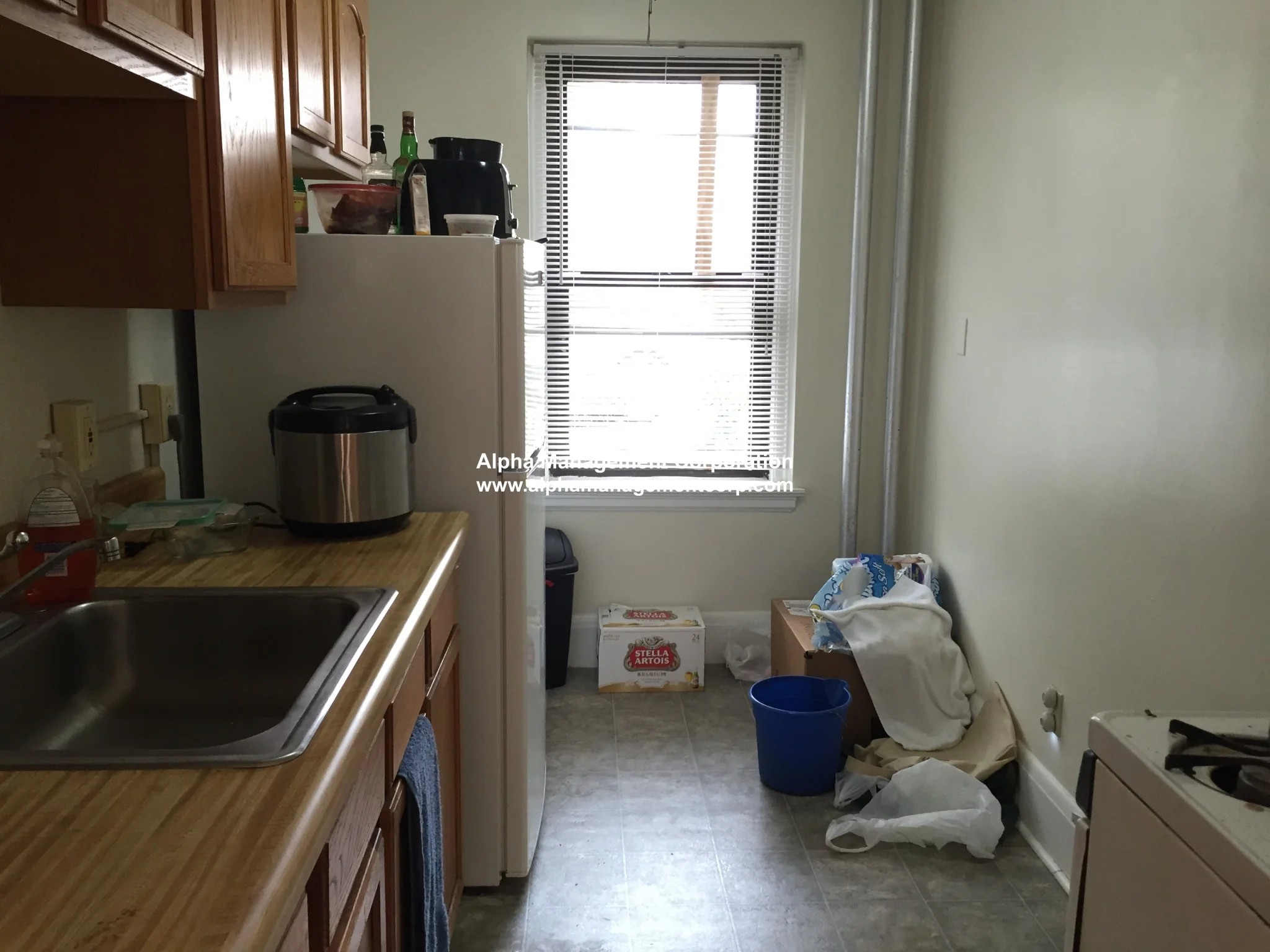 1 bed, 1 bath apartment for rent at 349 Pleasant St Unit B3-1, Malden — photo 18 of 27