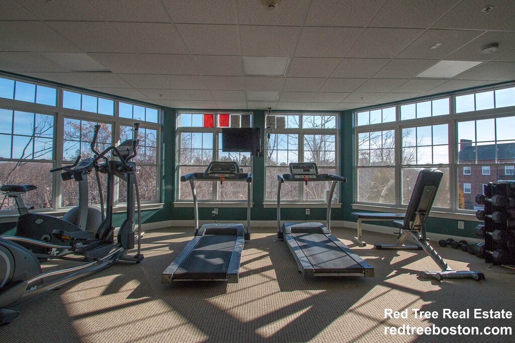 1 bed, 1 bath apartment for rent at 35 Commonwealth Ave Unit 204, Chestnut Hill — photo 12 of 13