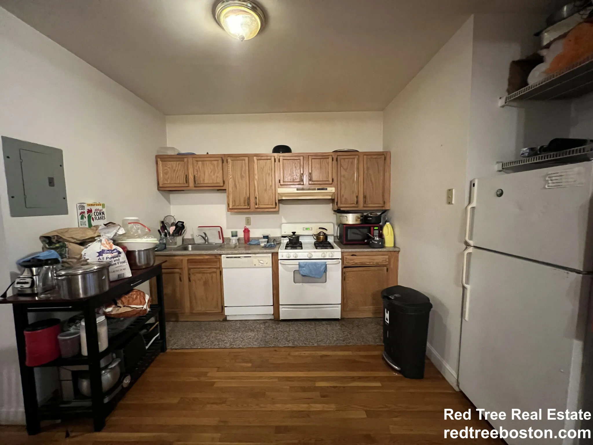 4 bed, 1 bath apartment for rent at 35 Cummings Rd Unit 1, Brighton — photo 3 of 12