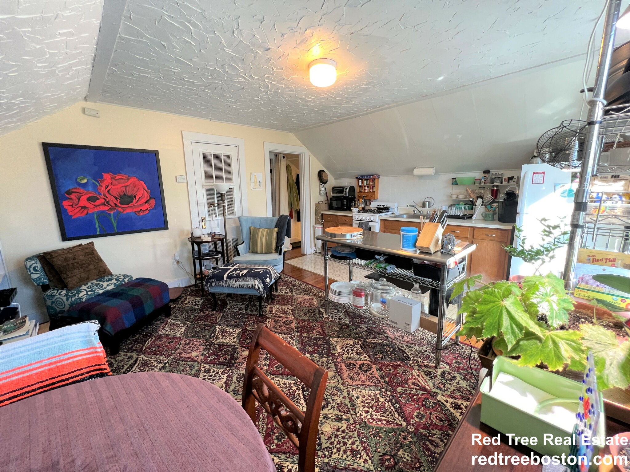 1 bed, 1 bath apartment for rent at 35 Danforth St Unit 3, Jamaica Plain — photo 2 of 15