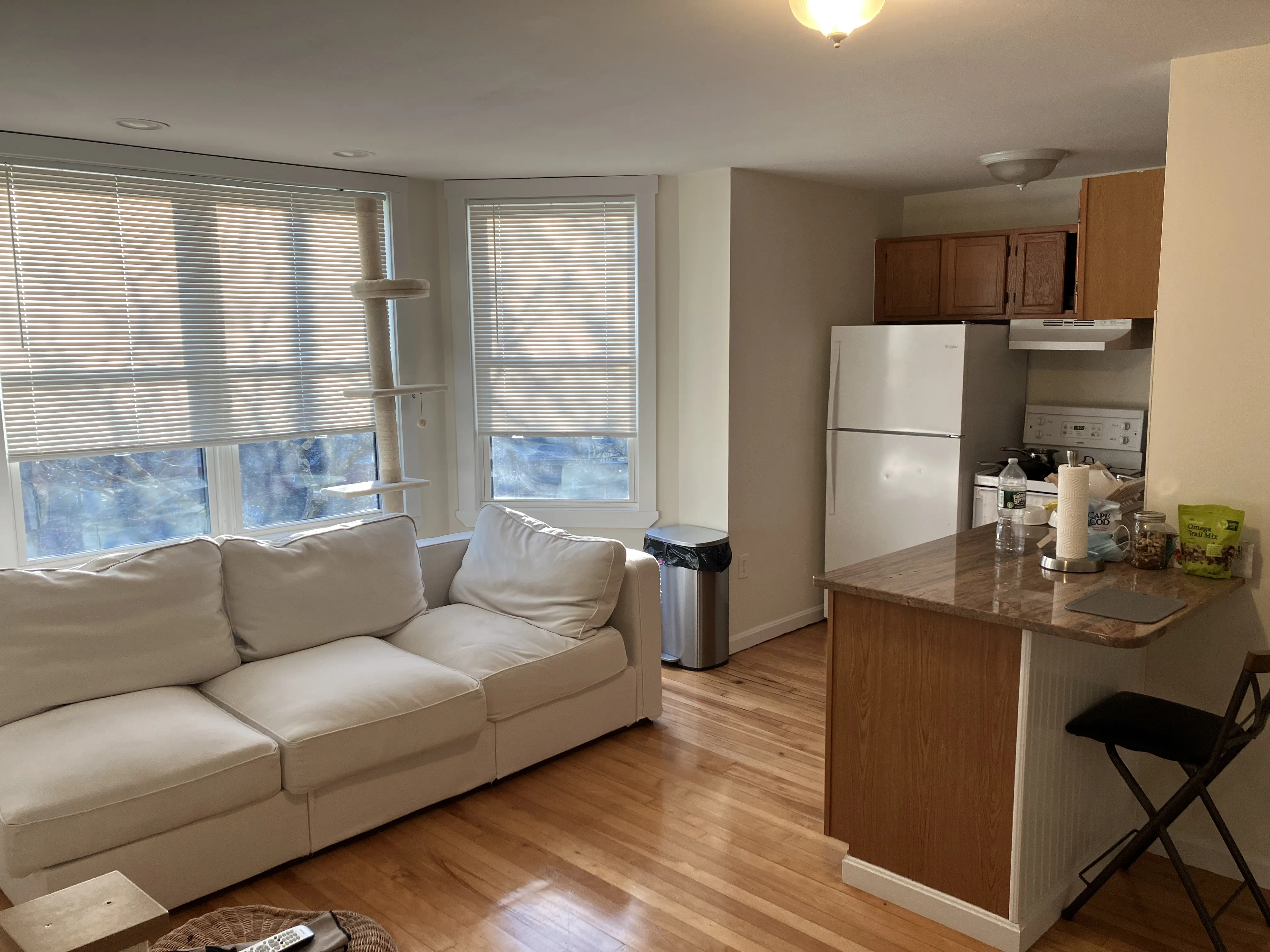 1 bed, 1 bath apartment for rent at 35 Davis Sq Unit 8, Davis Square — photo 1 of 5