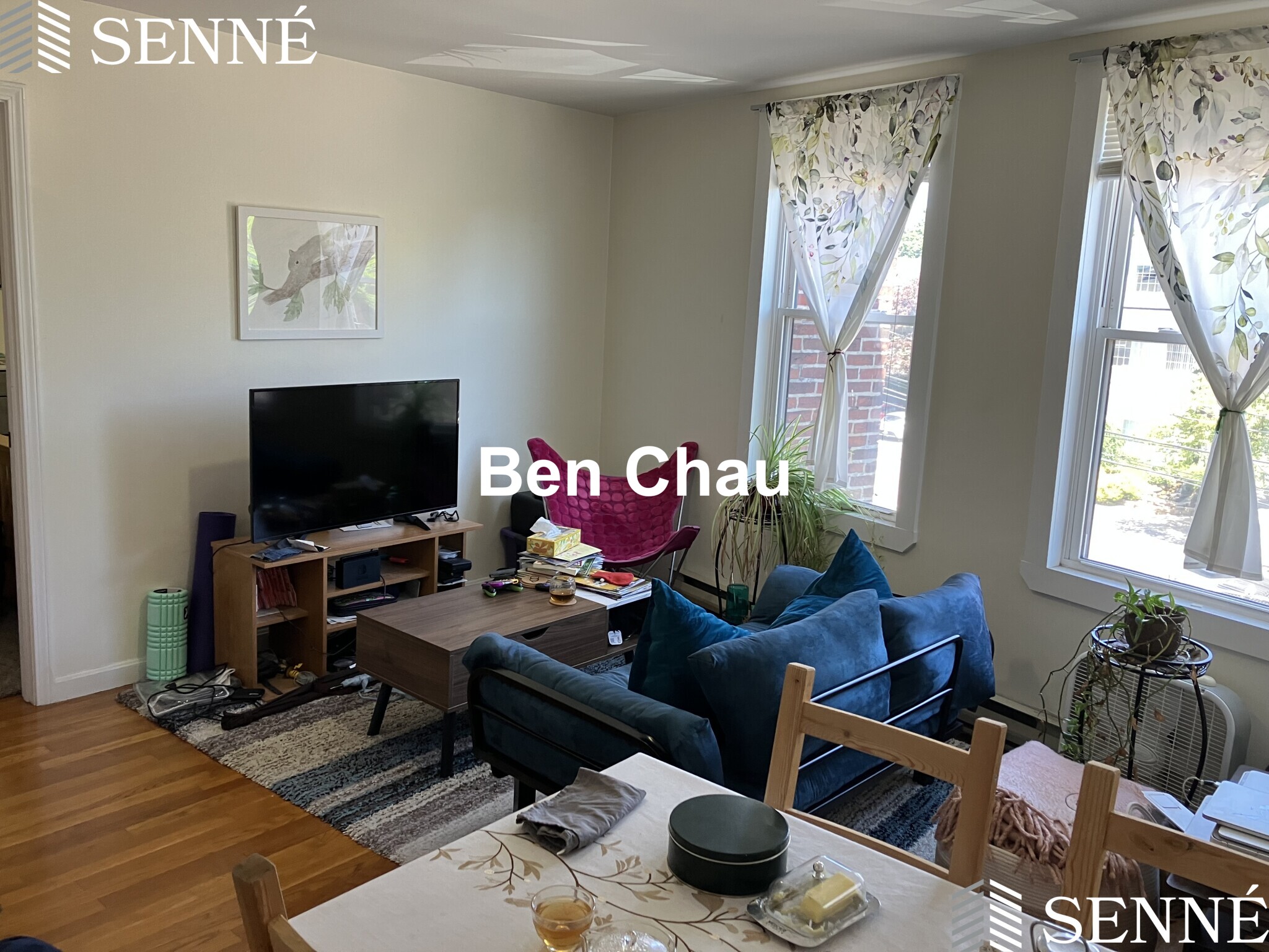 1 bed, 1 bath apartment for rent at 35 Davis Sq Unit 9B, Davis Square — photo 8 of 12