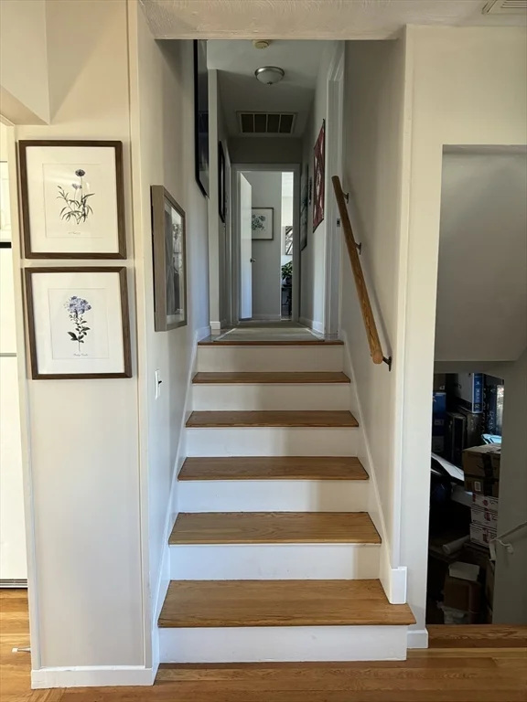 3 bed, 1 bath apartment for rent at 35 Dunedin Rd, Wellesley — photo 12 of 25