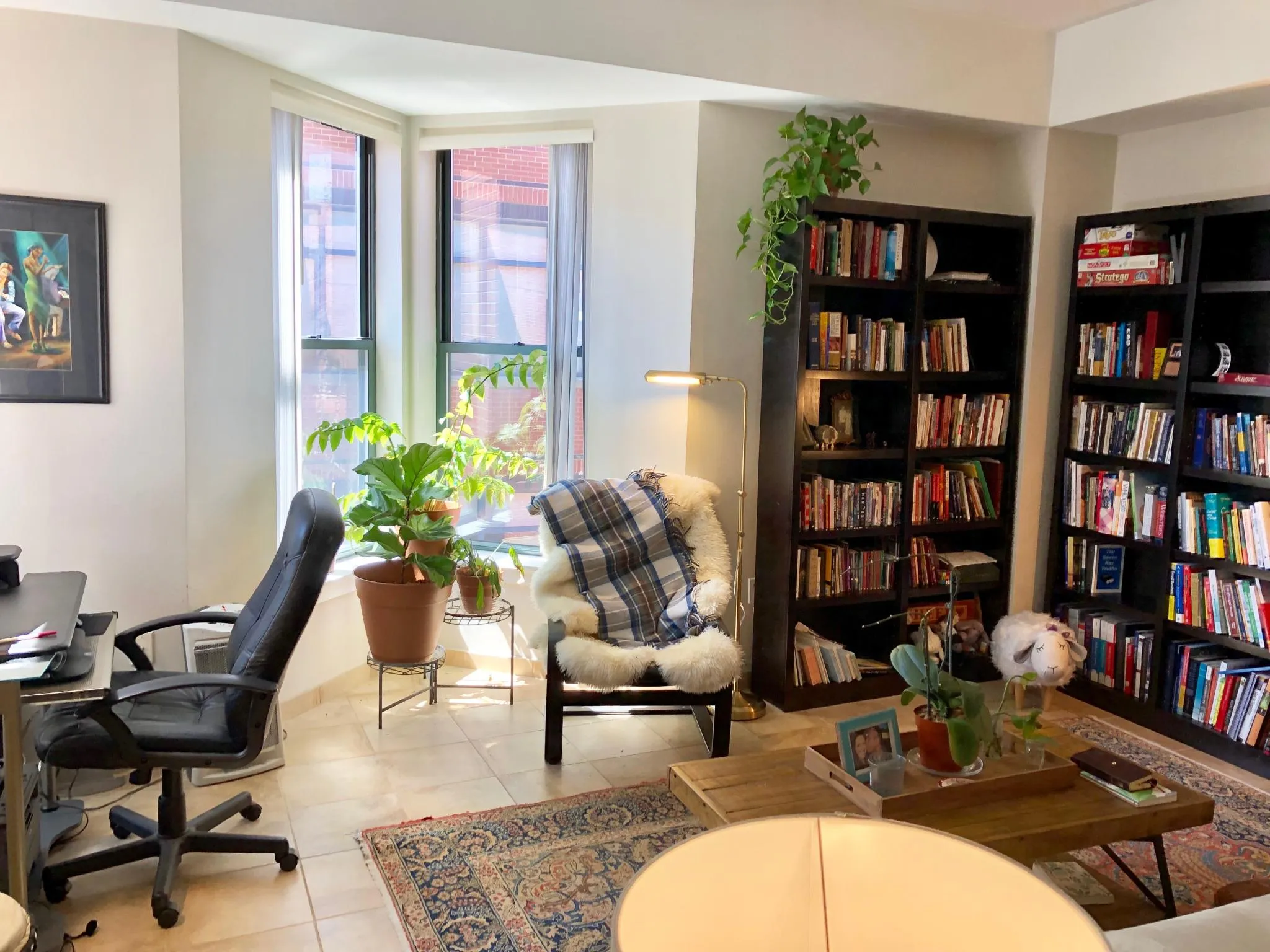 1 bed, 1 bath apartment for rent at 35 Fay St Unit 315A, South End