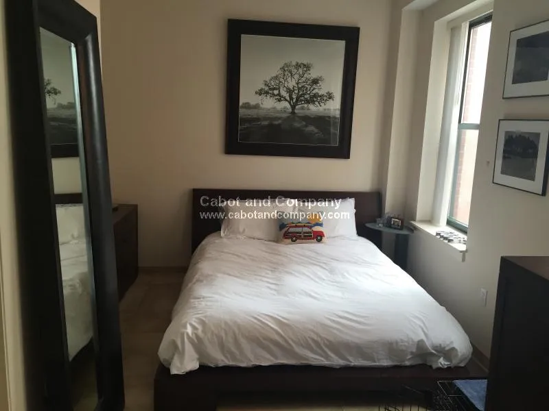 1 bed, 1 bath apartment for rent at 35 Fay St Unit 315F, South End — photo 5 of 8
