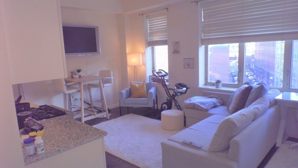 Studio bed, 1 bath apartment for rent at 35 Fay St Unit 410, South End