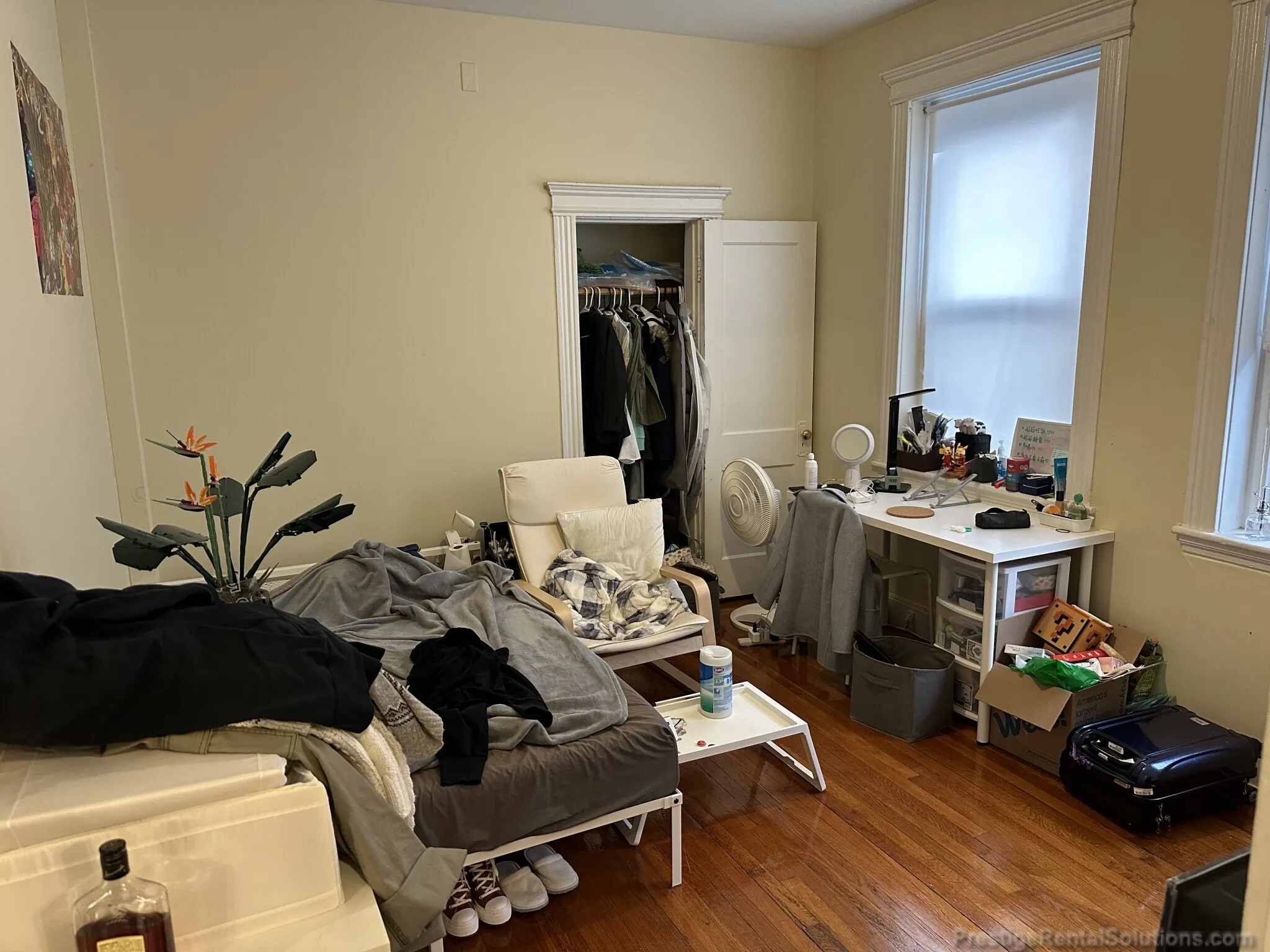 Studio bed, 1 bath apartment for rent at 35 Gardner St Unit 3, Allston — photo 5 of 11