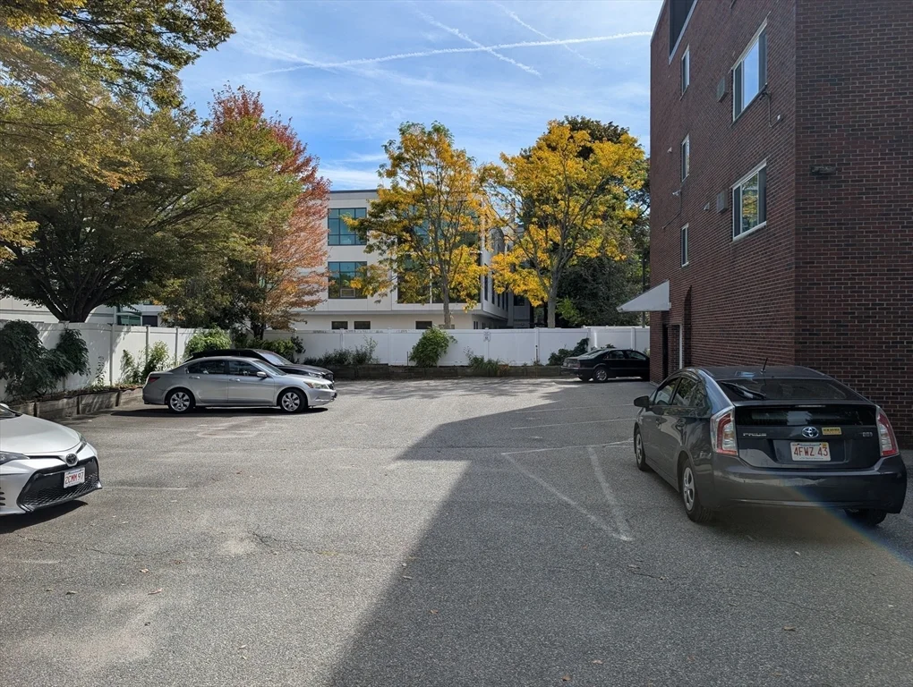 1 bed, 1 bath apartment for rent at 35 Homer Ave Unit 7, West Cambridge — photo 11 of 15