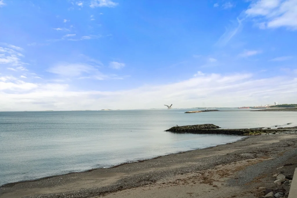 2 bed, 2 bath apartment for rent at 35 Perkins St Unit 1, Winthrop Beach — photo 19 of 20