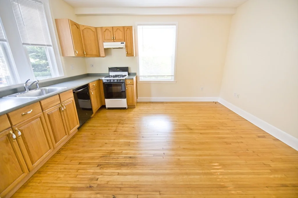 1 bed, 1 bath apartment for rent at 35 Pleasant St Unit 1F, Dorchester — photo 3 of 18