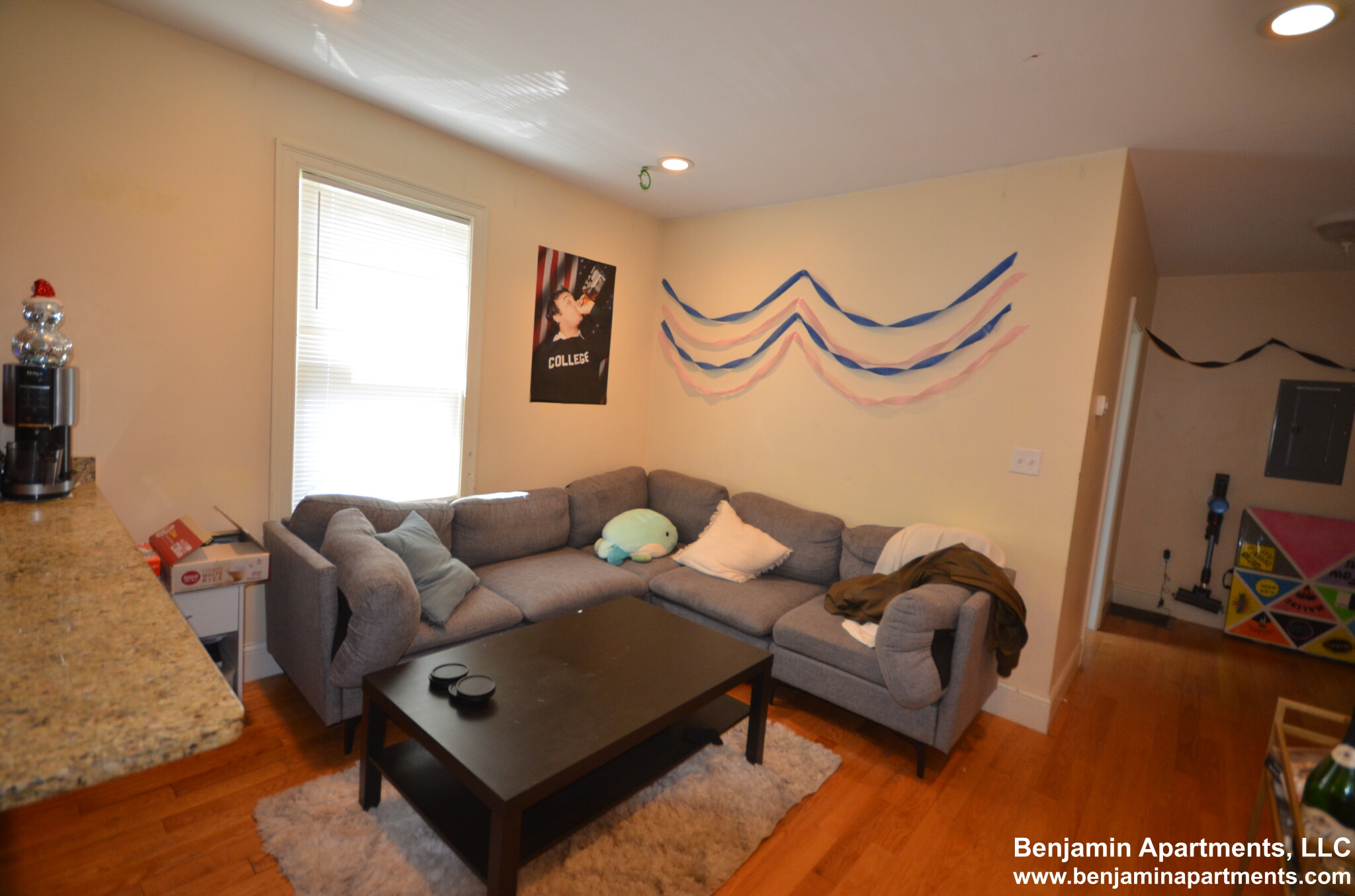 4 bed, 2 bath apartment for rent at 35 Pratt St Unit 1D, Allston — photo 9 of 15